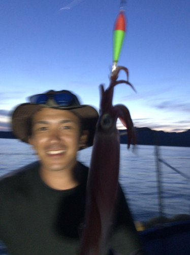 釣船 浦島太郎 釣果