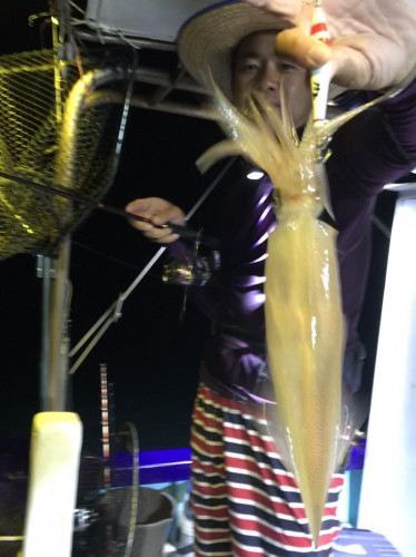 釣船 浦島太郎 釣果