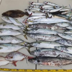 Hit Rush(ヒット ラッシュ) 釣果