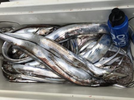 釣船 浦島太郎 釣果