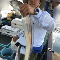 釣船 浦島太郎 釣果