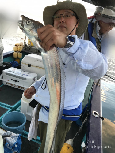 釣船 浦島太郎 釣果