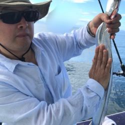 釣船 浦島太郎 釣果