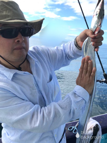 釣船 浦島太郎 釣果