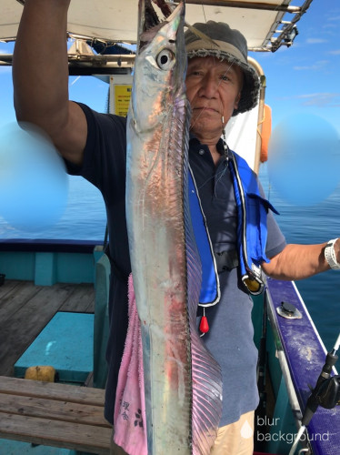 釣船 浦島太郎 釣果