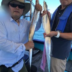 釣船 浦島太郎 釣果