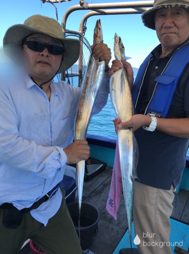 釣船 浦島太郎 釣果