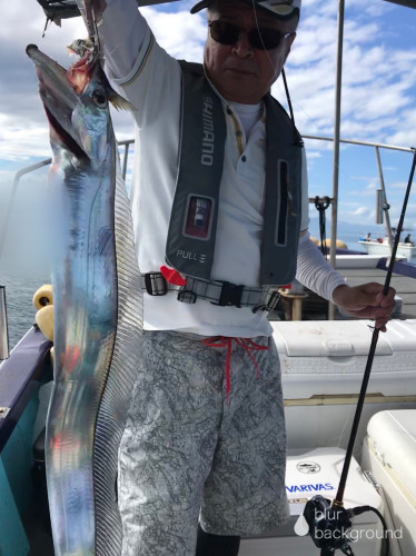 釣船 浦島太郎 釣果