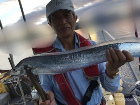 釣船 浦島太郎 釣果