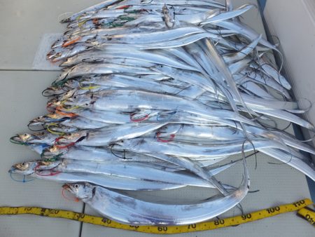 Hit Rush(ヒット ラッシュ） 釣果…