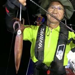 釣船 浦島太郎 釣果