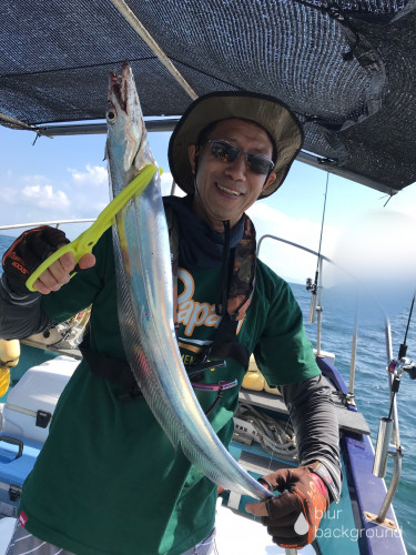 釣船 浦島太郎 釣果
