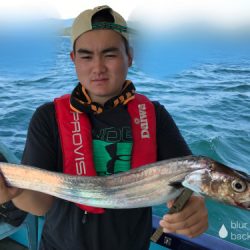 釣船 浦島太郎 釣果