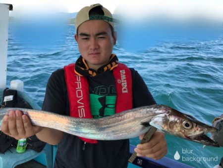 釣船 浦島太郎 釣果