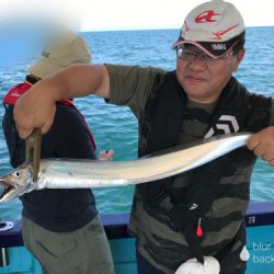 釣船 浦島太郎 釣果