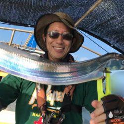 釣船 浦島太郎 釣果