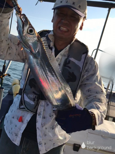 釣船 浦島太郎 釣果