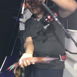 釣船 浦島太郎 釣果