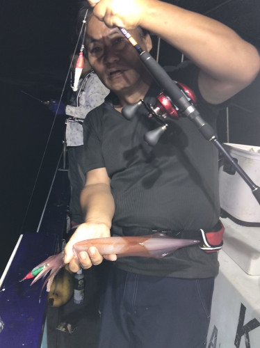 釣船 浦島太郎 釣果