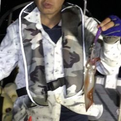 釣船 浦島太郎 釣果