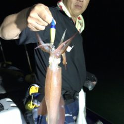 釣船 浦島太郎 釣果