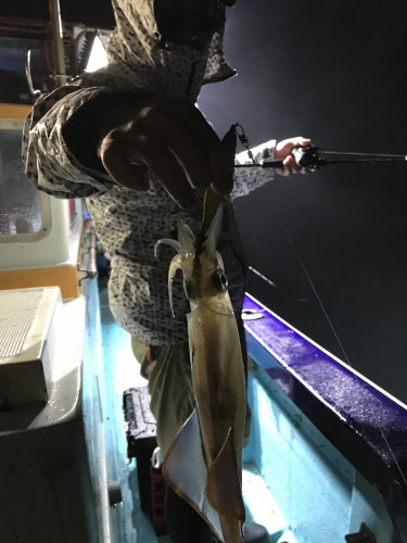 釣船 浦島太郎 釣果