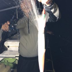 釣船 浦島太郎 釣果