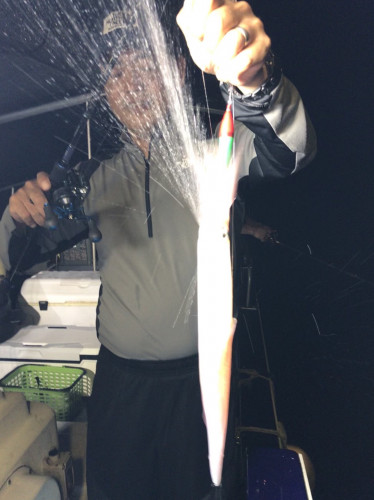 釣船 浦島太郎 釣果