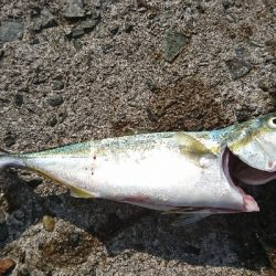 成長してきてます❗