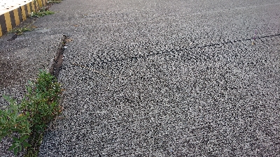 今日はツバス！