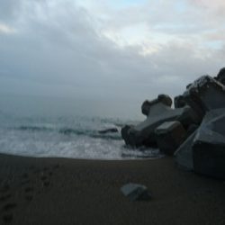 桂浜周辺サーフ、ライトショアジギング