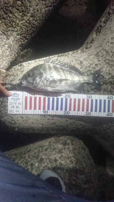 念願のチヌ～、きたぁぁぁぁぁ！