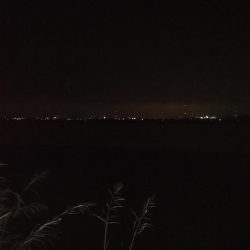 チーバス釣れた~