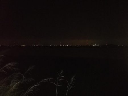 チーバス釣れた~