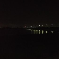 チーバス釣れた~