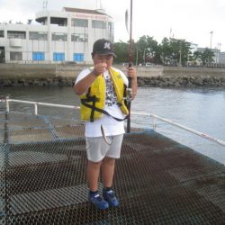 オリジナルメーカー海づり公園(市原市海づり施設) 釣果