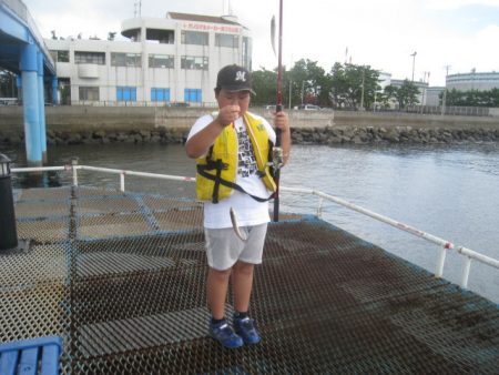 オリジナルメーカー海づり公園(市原市海づり施設) 釣果