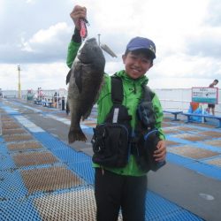 オリジナルメーカー海づり公園(市原市海づり施設) 釣果