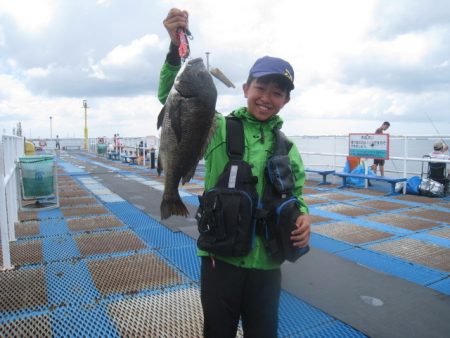 オリジナルメーカー海づり公園(市原市海づり施設) 釣果