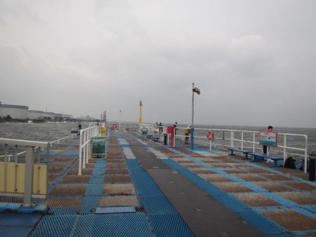 オリジナルメーカー海づり公園(市原市海づり施設) 釣果