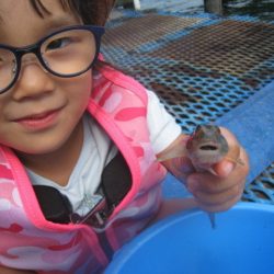 オリジナルメーカー海づり公園(市原市海づり施設) 釣果