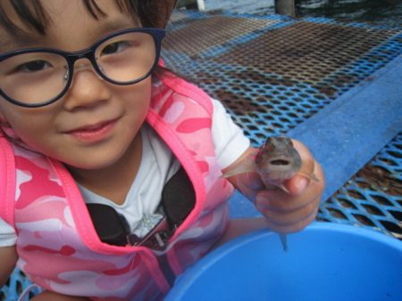 オリジナルメーカー海づり公園(市原市海づり施設) 釣果