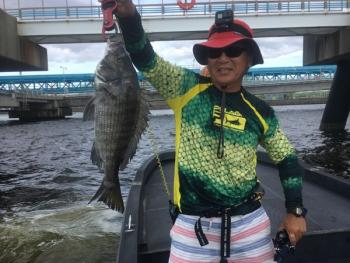 シーマジカル 釣果