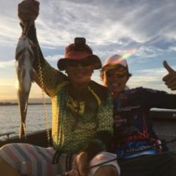 シーマジカル 釣果