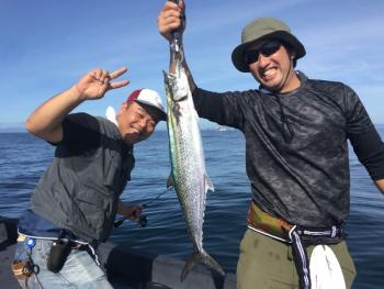 シーマジカル 釣果