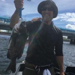 シーマジカル 釣果