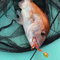 さんさん丸 釣果