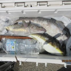 大進丸（新潟） 釣果