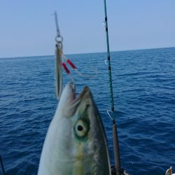 清和丸 釣果