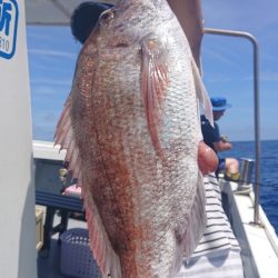 だて丸 釣果